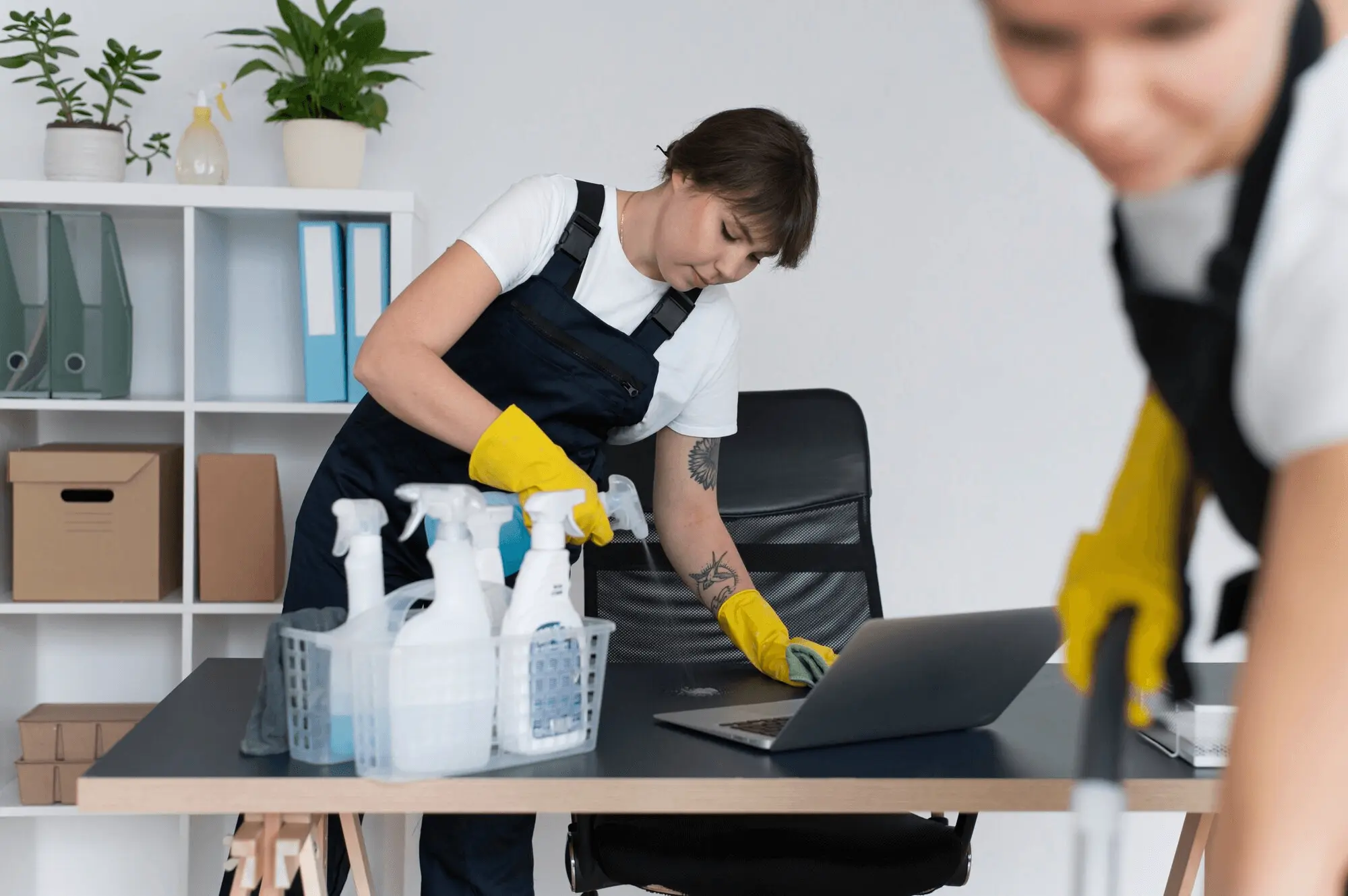 Cleaning professional at work